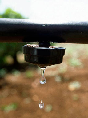 Aigües Sant Lluís, irrigation water